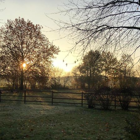 Villa Am Huelser Berg Naehe Duesseldorf Krefeld Luaran gambar