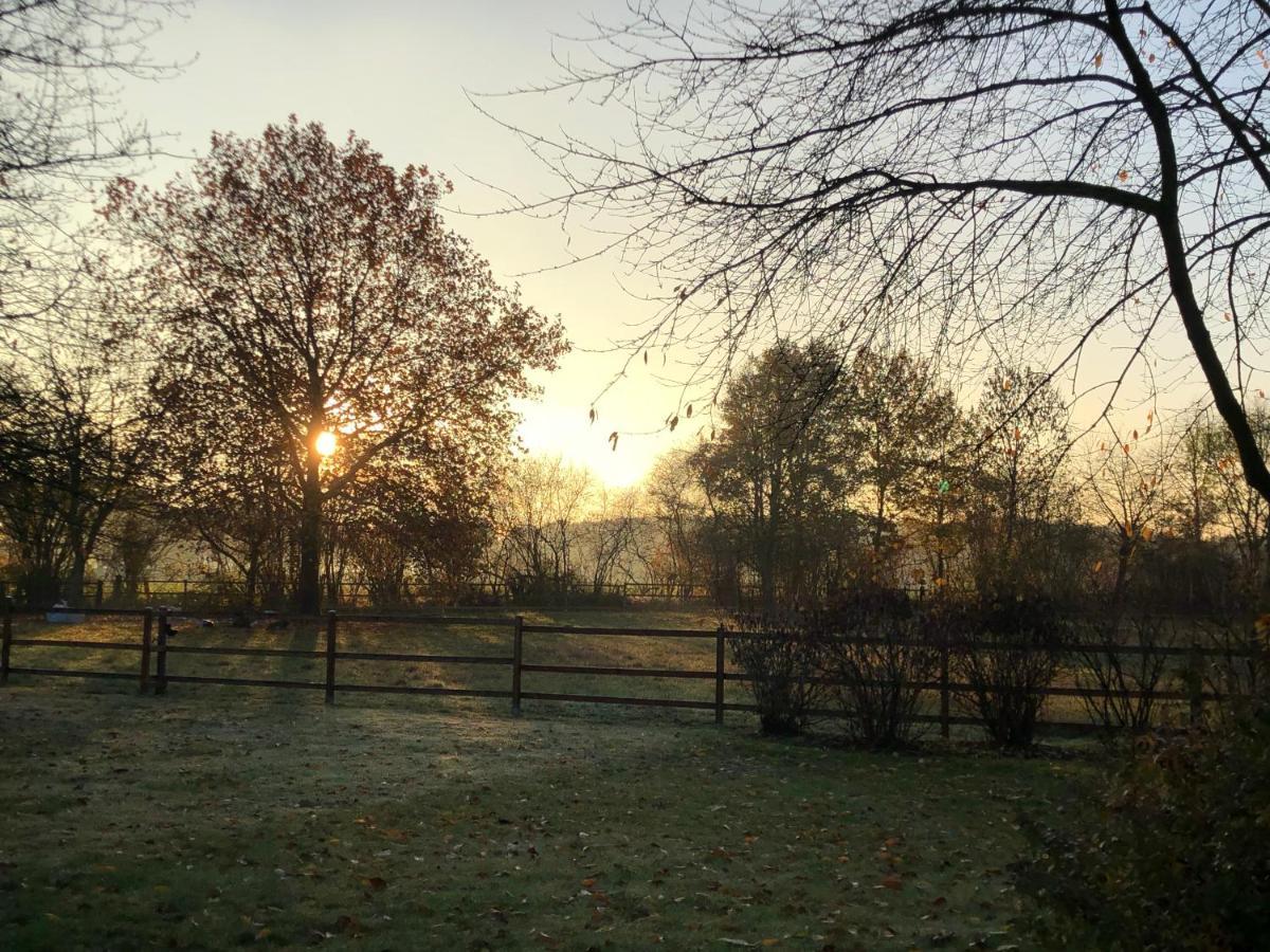 Villa Am Huelser Berg Naehe Duesseldorf Krefeld Luaran gambar
